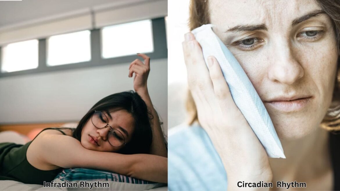 Circadian Rhythm vs Infradian Rhythm Key Differences Explained