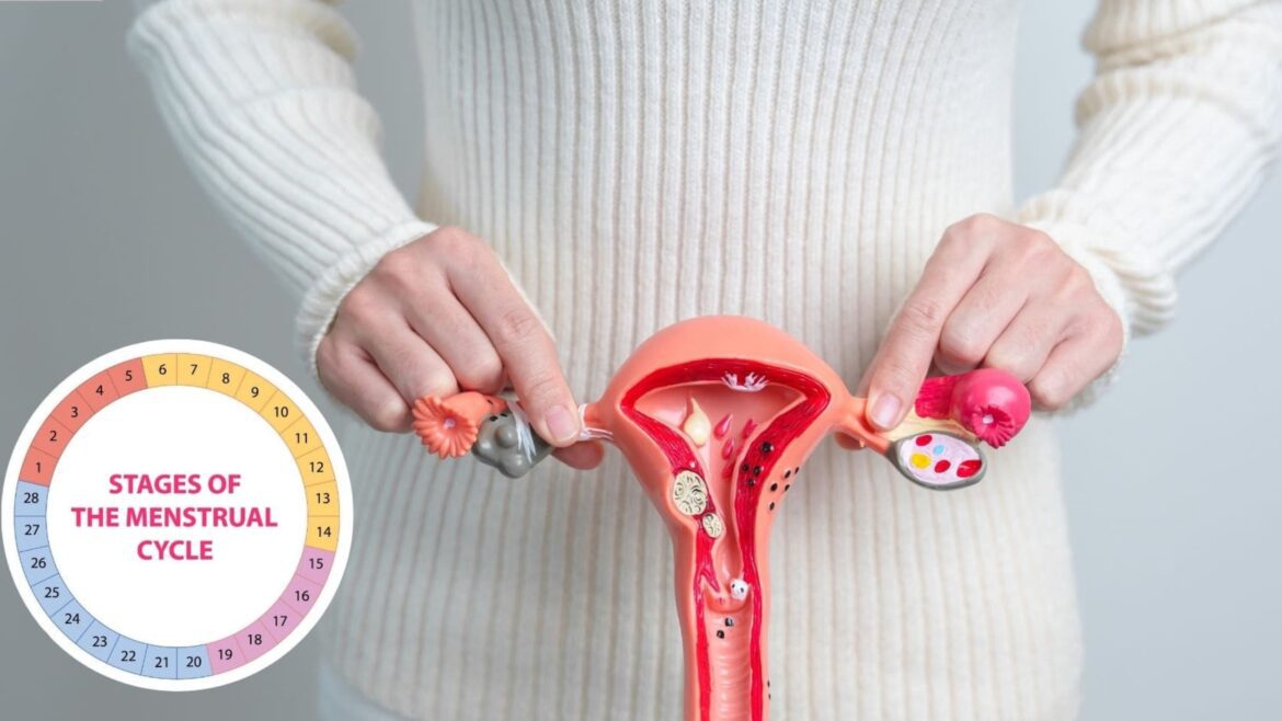 Cycle Syncing After Hysterectomy